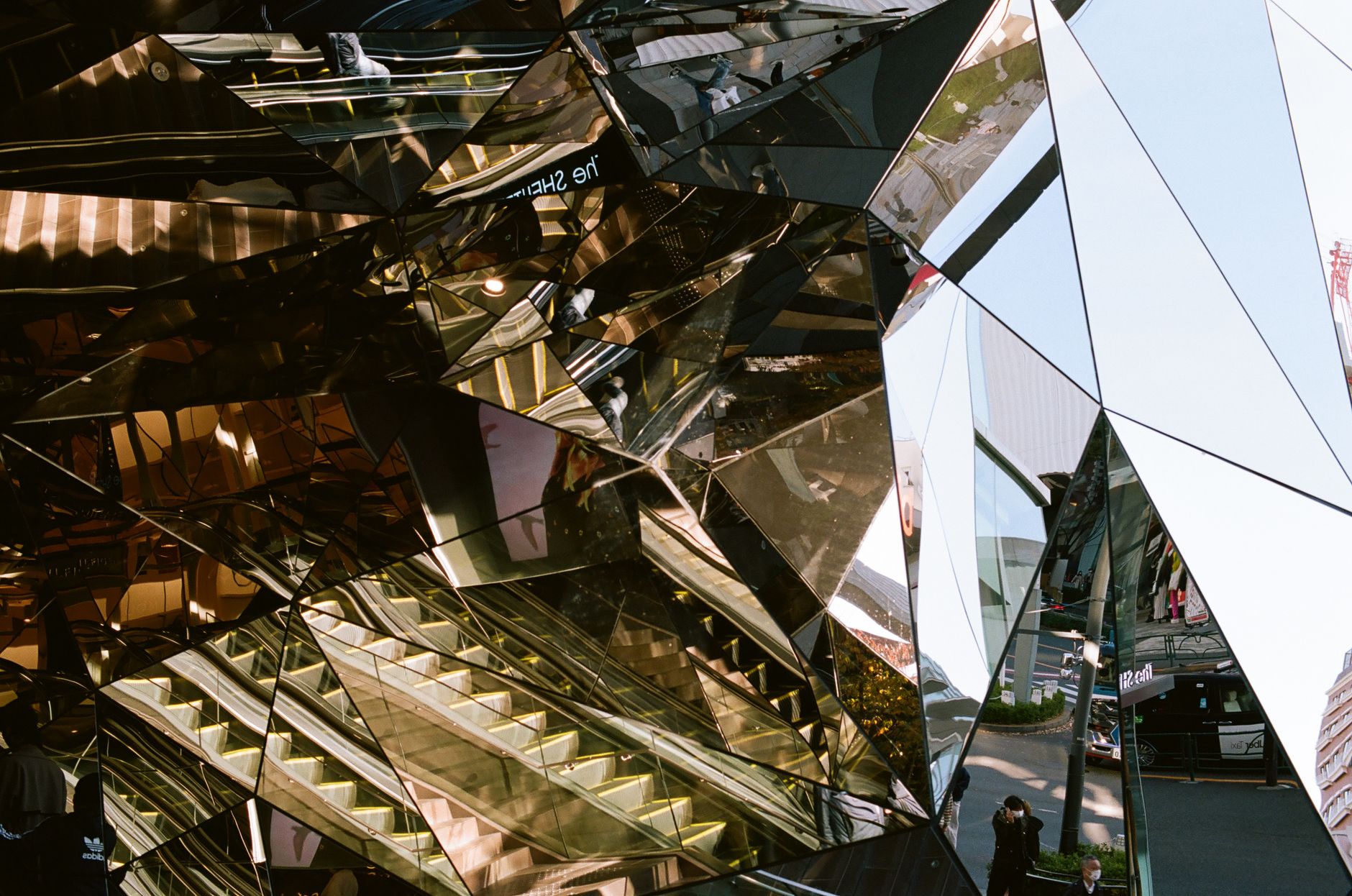 The Neurological Architecture of Sentimental Reflection neurological architecture