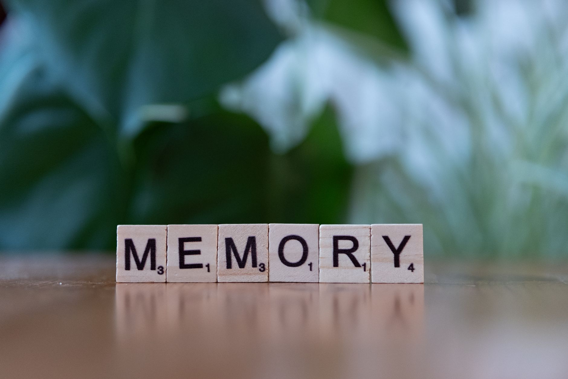 The Cognitive Architecture of Autobiographical Memory during early