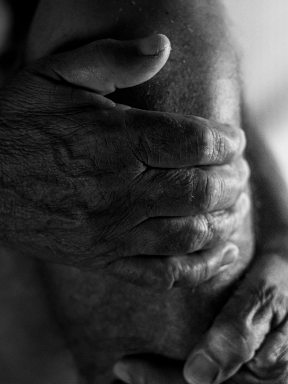 The Mechanics of Tactile Permanence in a Digital Age consider difference