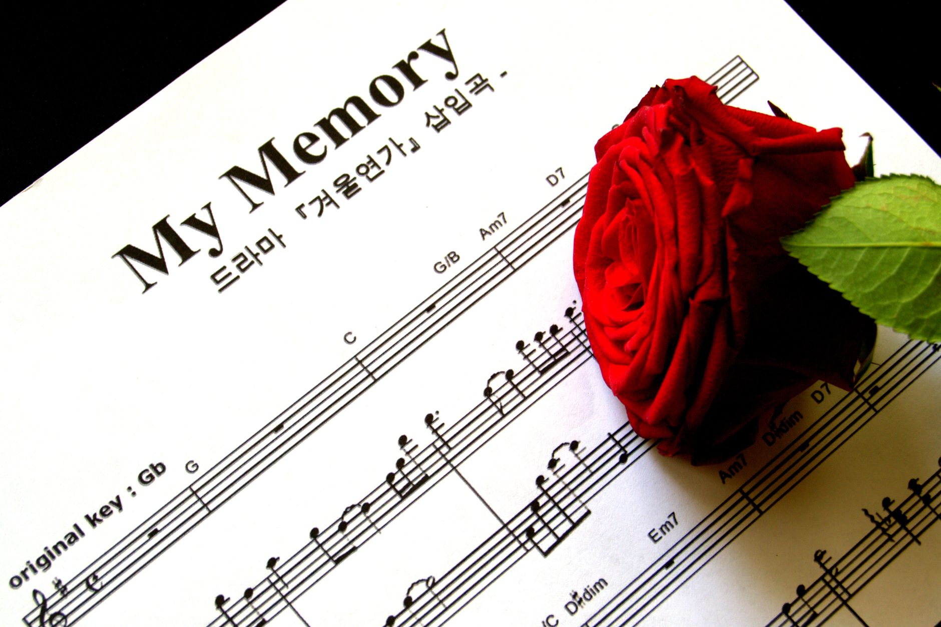 The Neurological Blueprint of Musical Memory neurological blueprint