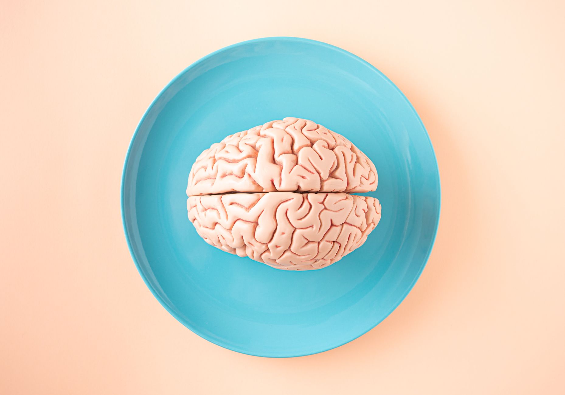 The Neurological Symphony: How the Brain Processes Sound and Emotion furthermore functional